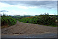 Track to Cilgryman Fach, Llanwinio