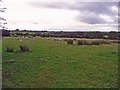 Rough pasture: Blaenffynnon, Llanwinio