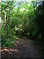 Bridleway Junction near Alfriston