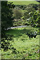 The River Camel Glimpsed through the Trees