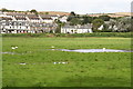 Valley floor of the River Camel