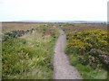 Footpath near Norland Moor, Greetland