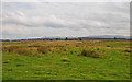 Moorland and rough pasture near Muir of Orchil