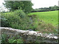 Afon Carrog below the bridge