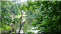 Across Waterloo Pond near Albury Mill