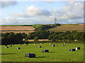 Farmland, Newton Tracey