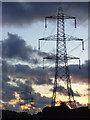 SS5226 : Pylons, Newton Tracey by Andrew Smith