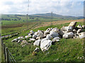 Erratic boulders