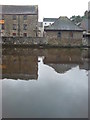 Across the Cleddau to Friars Lane