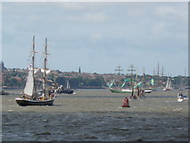 SJ3389 : Tall Ships Parade of Sail in the River Mersey by Chris Tomlinson