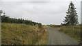 Forest road, Muckle Knowe