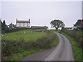 The lane to Trewythen fawr (NCR 81)