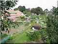 Allotment gardens from Park Avenue