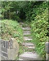 Footpath & Steps - Worden Grove, Pasture Lane, Clayton