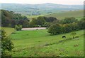 Countryside near Kingston Russell