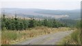 Craik Forest from Muckle Knowe