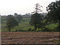 Fields east of Shobrooke