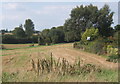 Open fields behind the houses at Ringshall