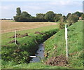 Little stream south of Ringshall