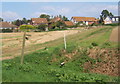 Field with rising path crossing to Ringshall village