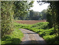 Emerging from trees on Holly Road