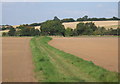 Grassy track looking north away from Offton