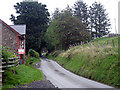 Lane above Llangurig