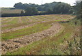 TM0748 : Field by Elmsett Road by Andrew Hill