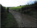 SO0466 : Gate into a field by Neville Goodman