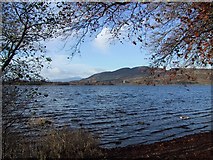 NN5801 : Lake of Menteith by Sarah Charlesworth
