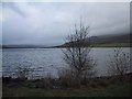 NN5906 : Loch Venachar by Sarah Charlesworth