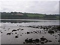 River Foyle