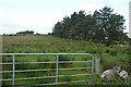 M0687 : Pasture at Cornagushlaun by Graham Horn