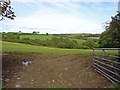 Field overlooking a small cwm: Castell Mawr, Trelech