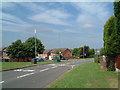 A downhill view of Woodlands Road  (1)