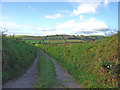 Lane to Abergeletsh, East Cilrhedyn