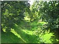 Track-bed of the old Rosebush branch line