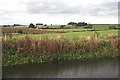 New Ponds at Old Mill of Fochel