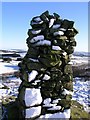 Wellhill Cairn