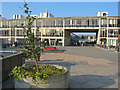 University of Essex