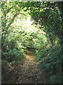 Start of the path to Lewesdon Hill