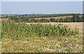 Open farmland northwest of Lord