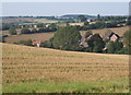 Countryside near Hartest