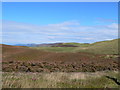 In the Clwydian Hills