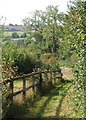 Footpath skirting gardens of hilltop houses