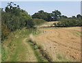 Bridleway towards Gifford