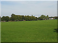 TQ4177 : Football pitches in Charlton Park by Stephen Craven