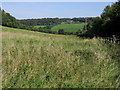 Fields by Clappins lane