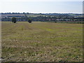 Field off Smalldean lane