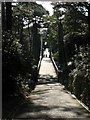 Westbourne: suspension bridge against the sun